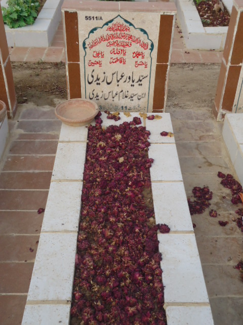 15511 – Syed Yawar Abbas Zaidi