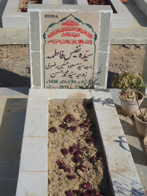 12030 – Syeda Nafeesa Fatima