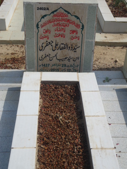 12402 – Syed Zulfiqar Ali Jaffery