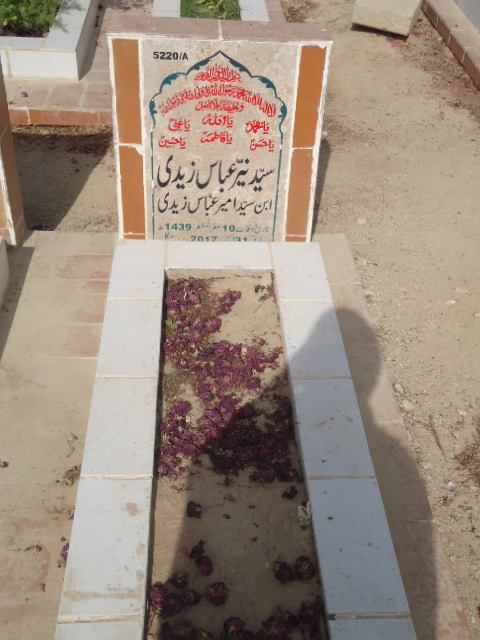 15220 – Syed Nayyer Abbas Zaidi