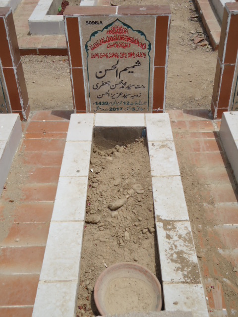 15096 – Shamim Ul Hassan