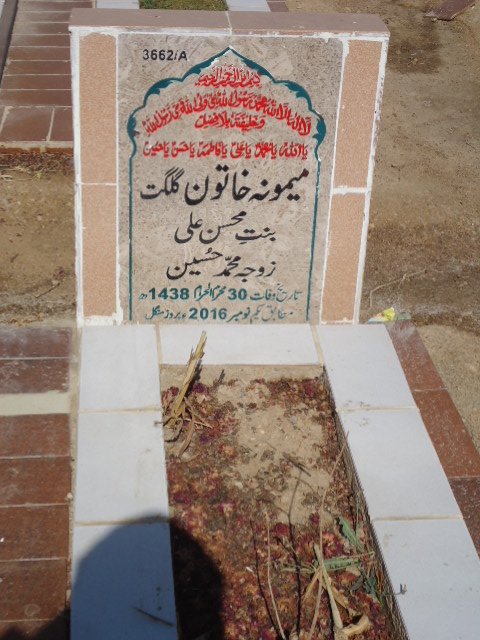 13663 – Syed Shamim Haider Naqvi
