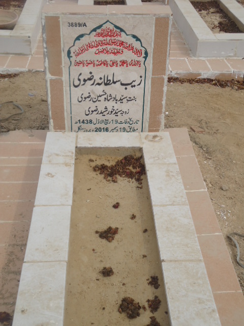 13889 – Zaib Sultana Rizvi