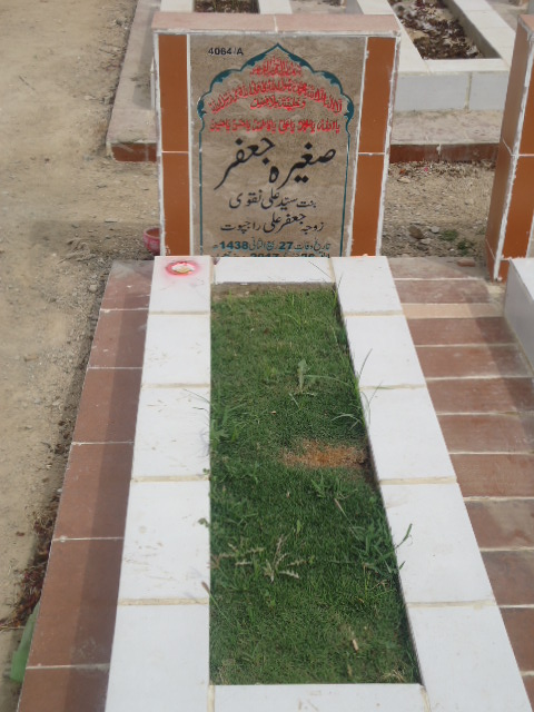 14064 – Sagheera Jaffar
