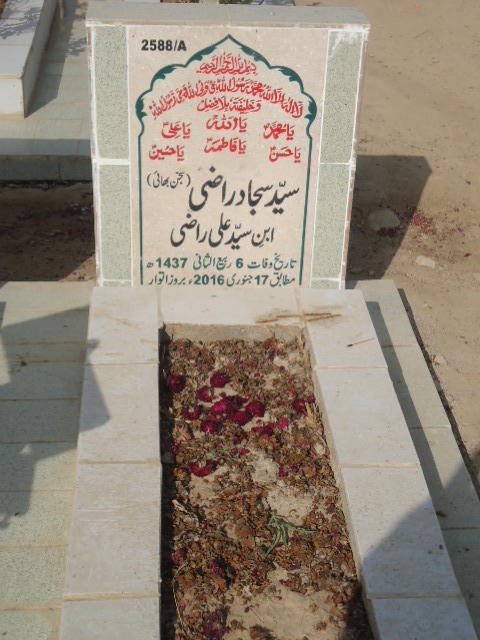 12588 – Syed Sajjad Razi