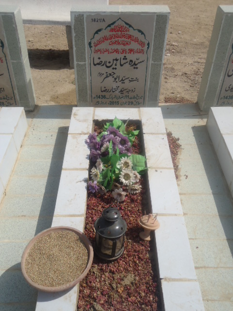 11821 – Syeda Shaheen Raza