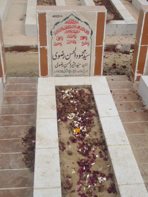 14025 – Syed Mehmood Ul Hassan Rizvi