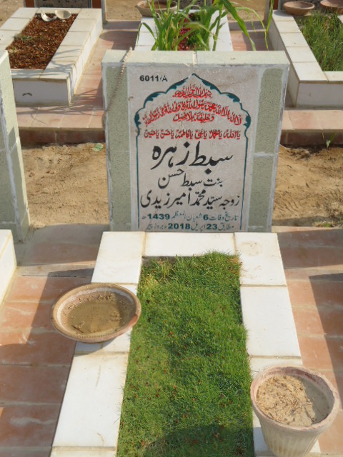 16011 – Sibte Zehra