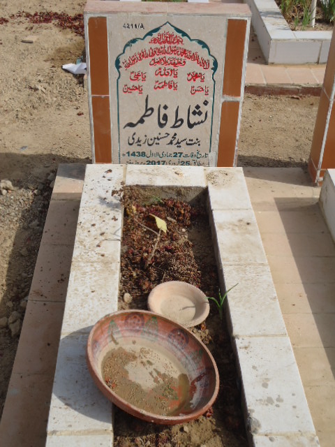 14211 – Nishat Fatima