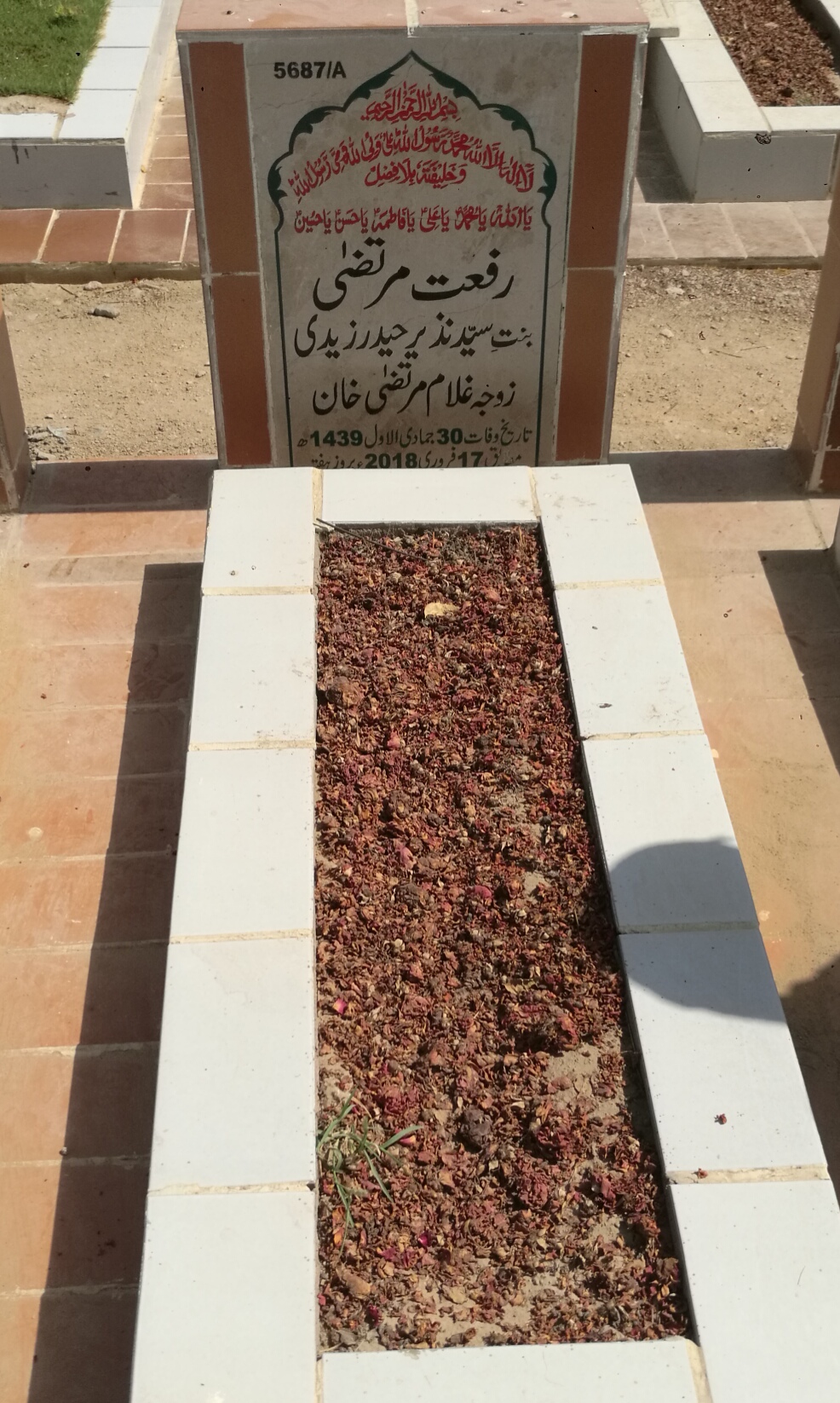 15687 – Riffat Murtaza