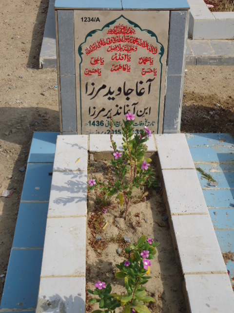 11234 – Agha Javeed Mirza