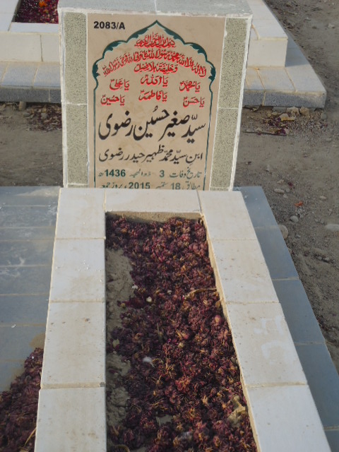 12083 – Syed Sagheer Hussain Rizvi