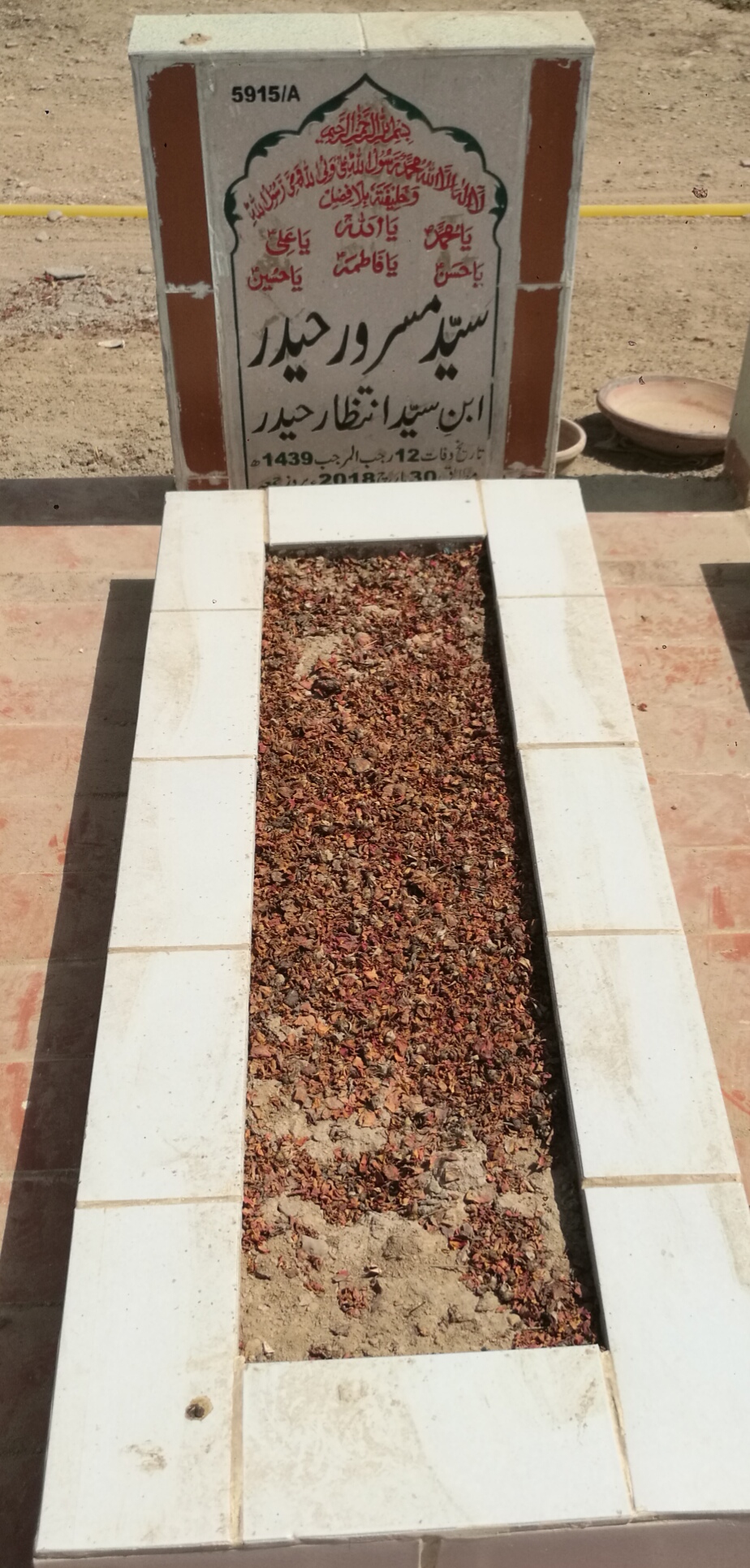 15915 – Syed Masroor Haider