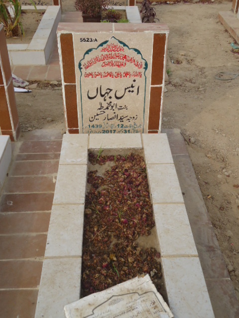 15523 – Anees Jahan