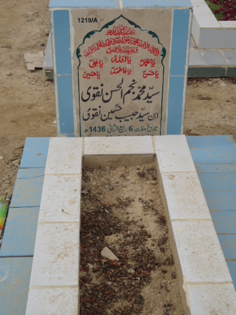 11219 – Syed Muhammad Najam Ul Hasan Naqvi