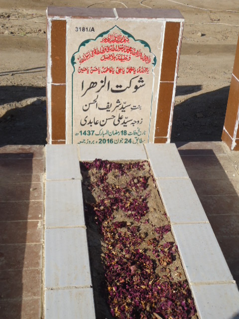 13181 – Shoukat Ul Zehra