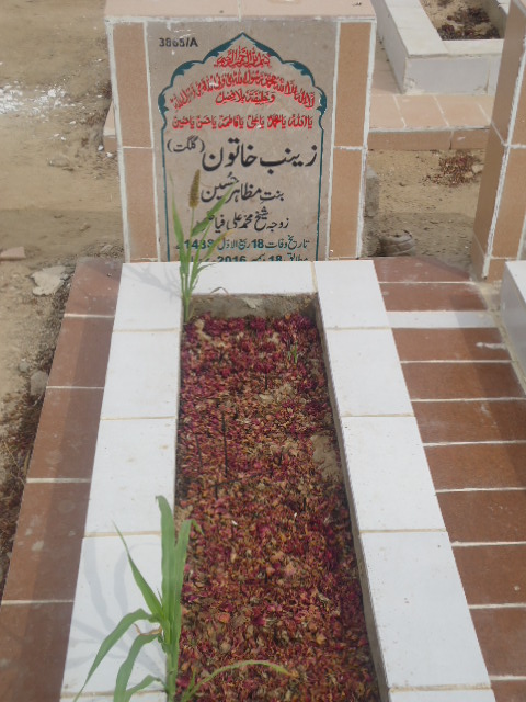 13865 – Zainab Khatoon