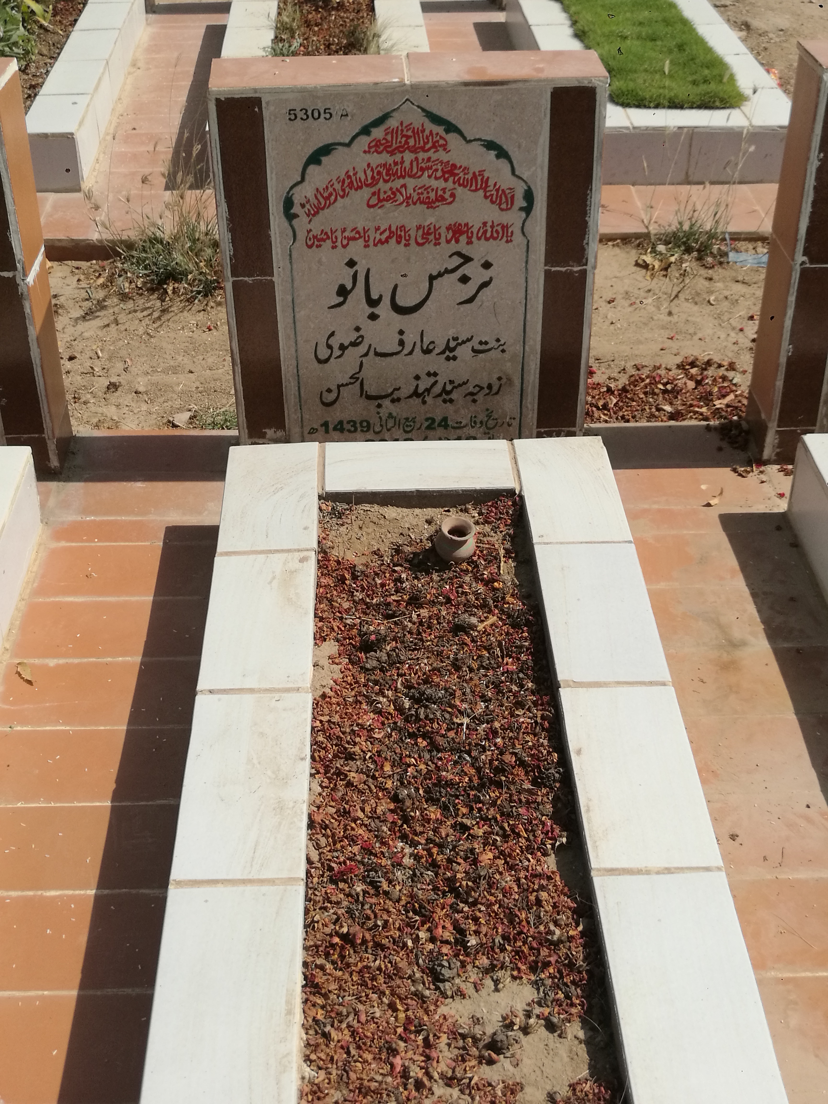 15305 – Narjis Bano