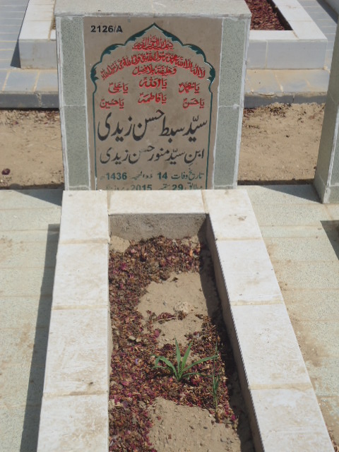 12126 – Syed Sibtay Hasan Zaidi
