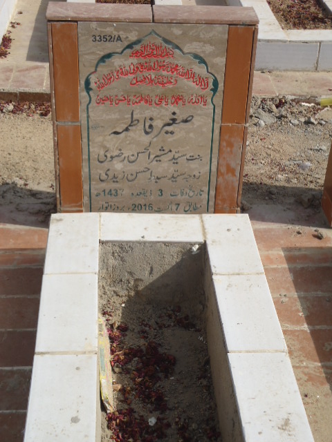 13352 – Sagheer Fatima