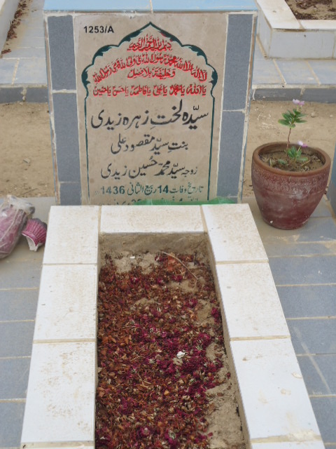 11253 – Syeda Lakhta Zehra Zaidi