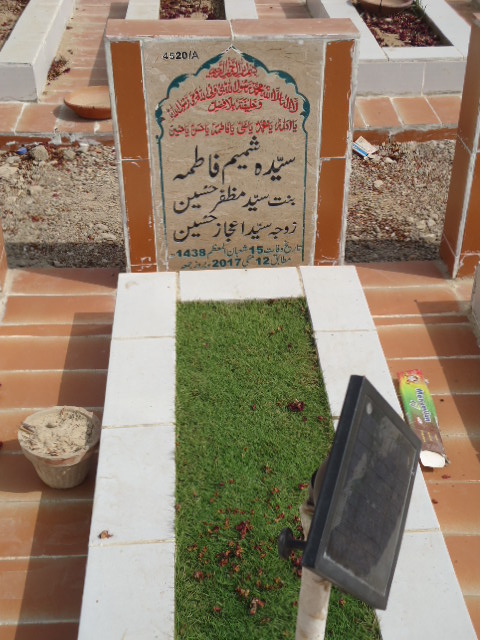 14520 – Syeda Shamim Fatima