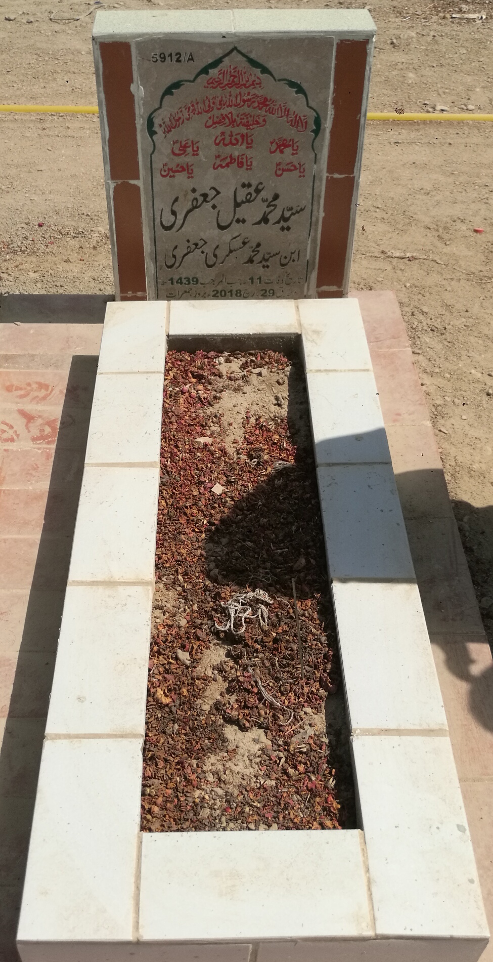 15912 – Syed Muhammad Aqeel Jaffery