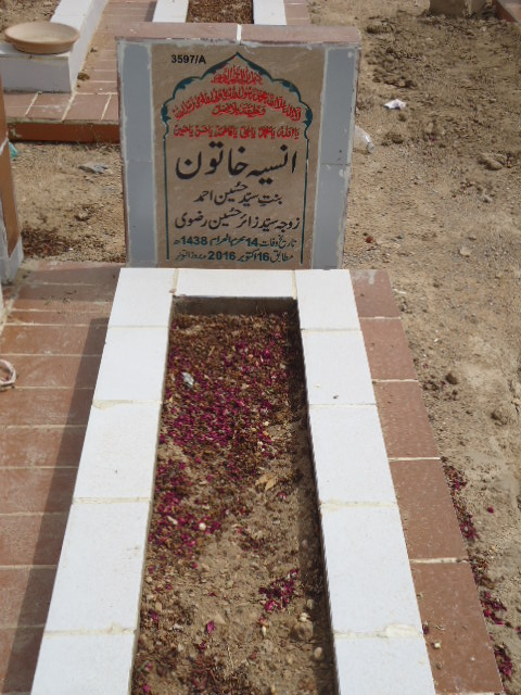 13597 – Ansia Khatoon