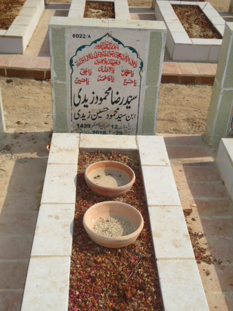 16022 – Syed Raza Mehmood Zaidi