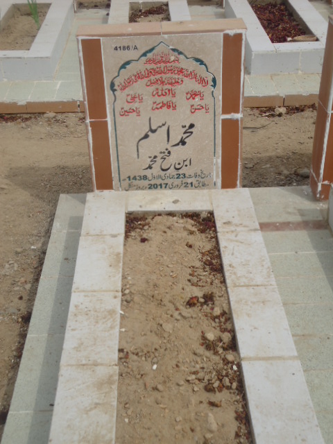 14186 – Muhammad Aslam
