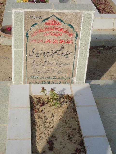 12764 – Syeda Shamim Zehra Zaidi