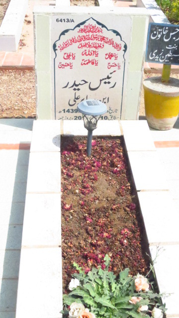 16413 – Raees Haider