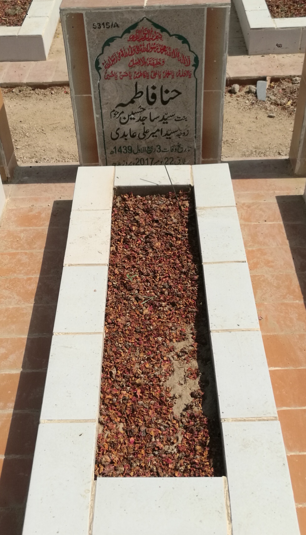 15315 – Hina Fatima
