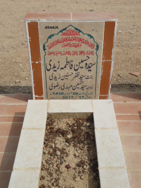 14544 – Syeda Hussain Fatima Zaidi