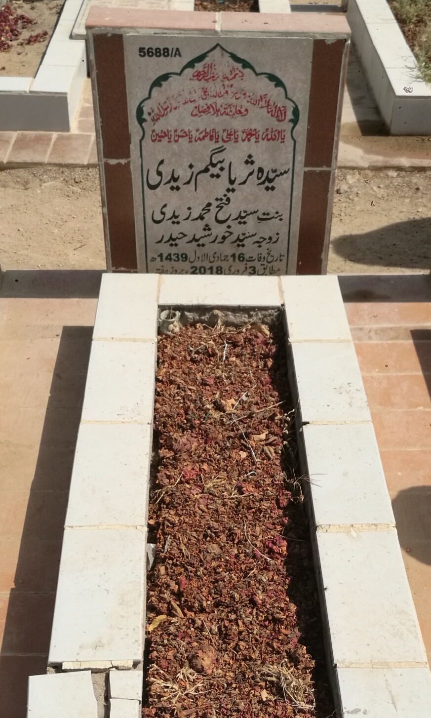 15688 – Syeda Suriya Begum Zaidi