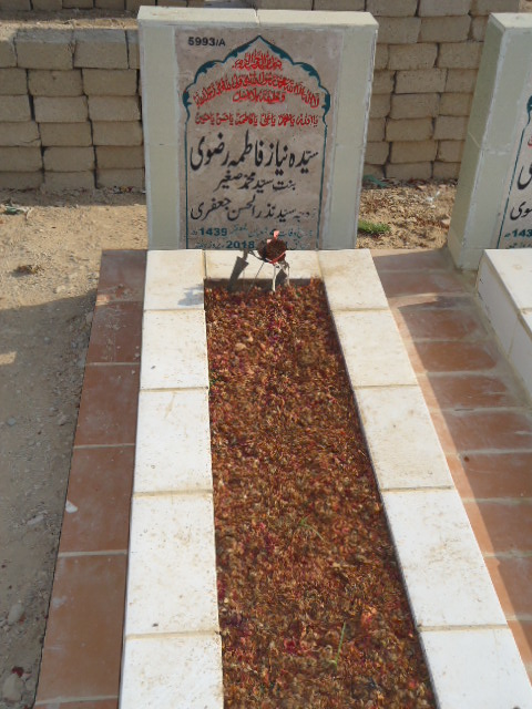 15993 – Syeda Niyaz Fatima Rizvi