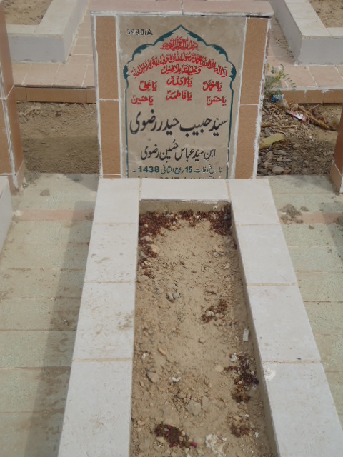 13990 – Syed Habib Haider Rizvi
