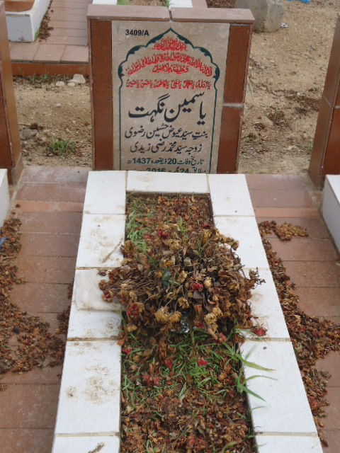 13409 – Yasmeen Nighat