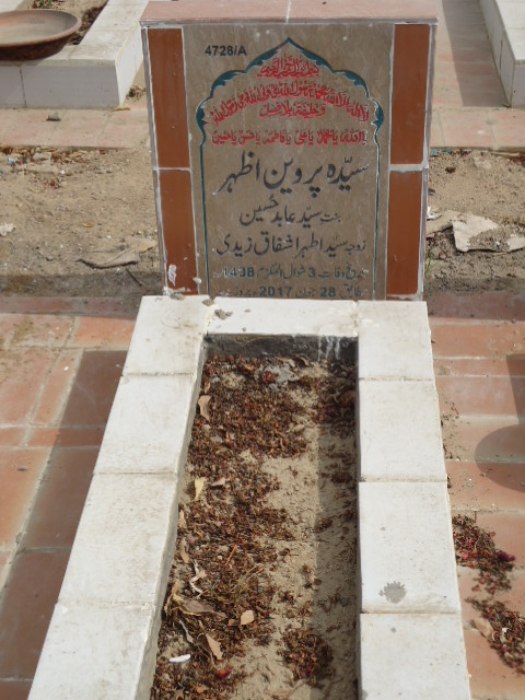 14728 – Syeda Parveen Azhar