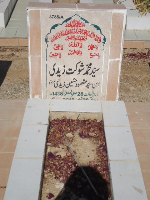 13785 – Syed Muhammad Shoukat Zaidi