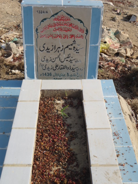 11324 – Syeda Shamim Zehra Zaidi