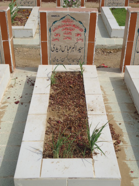 14425 – Syed Akbar Abbas Zaidi