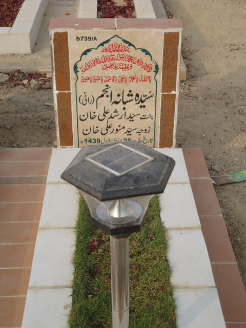 15735 – Syeda Shabana Anjum