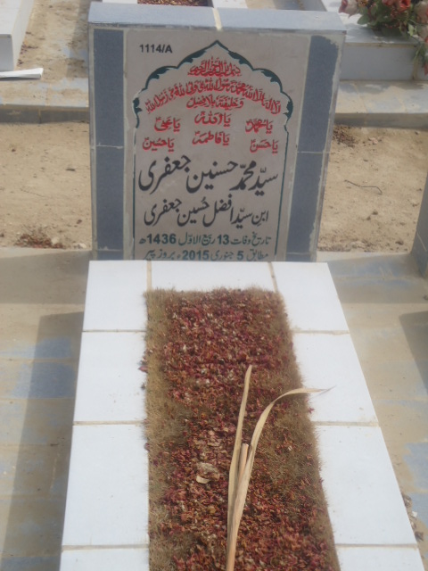 11114 – Syed Muhammad Hasnain Jaffery