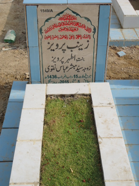 11549 – Zainab Parveez