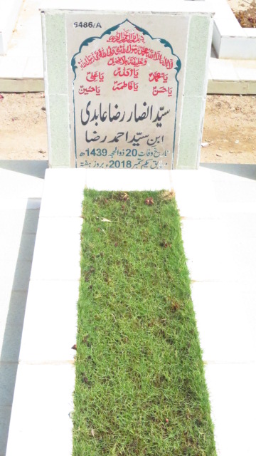 16486 – Syed Ansar Raza Abidi