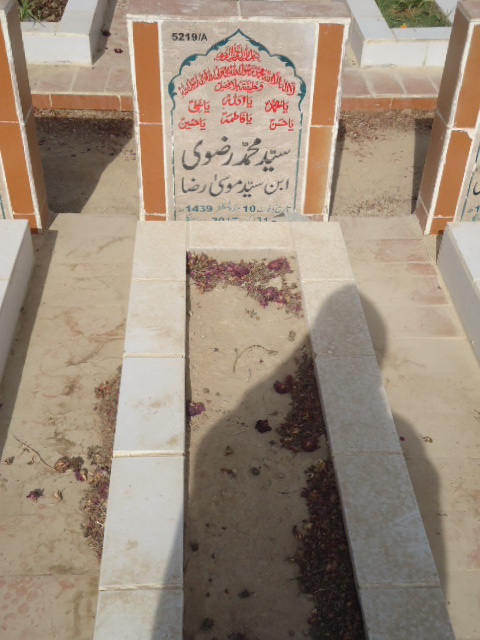 15219 – Syed Muhammad Rizvi
