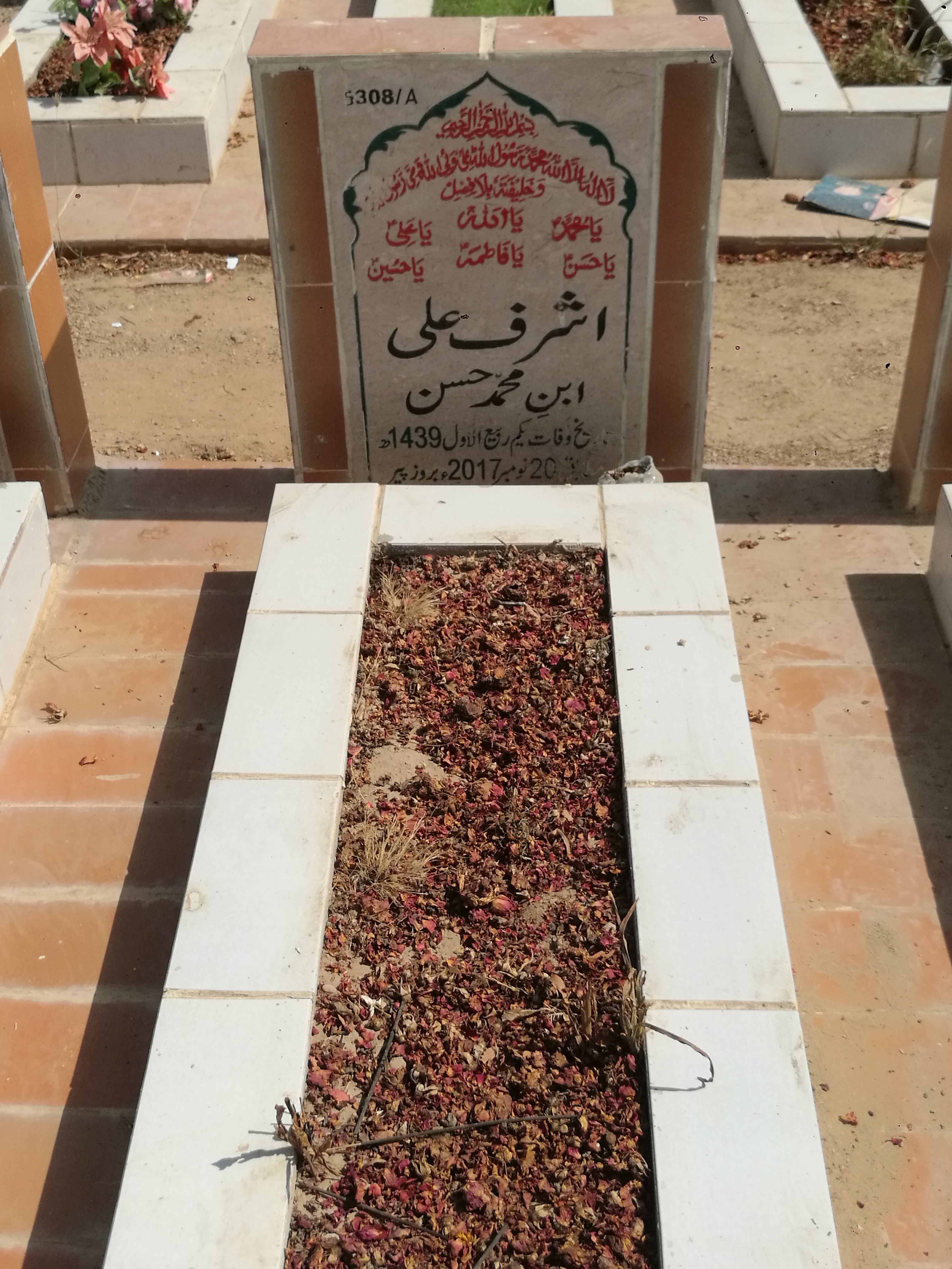 15308 – Ashraf Ali