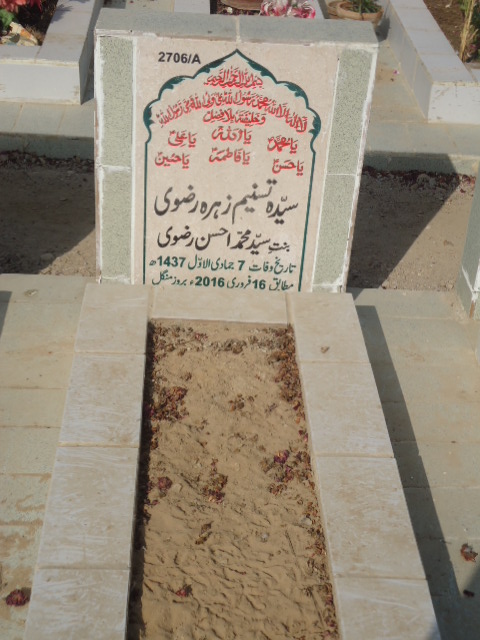 12706 – Syeda Tasneem Zehra Rizvi