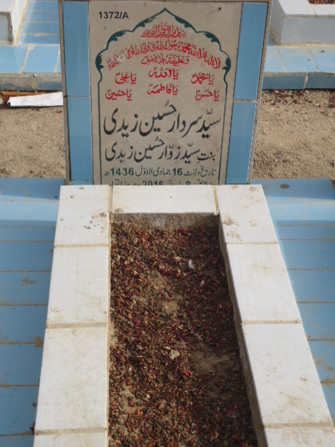11372 – Syed Sardar Hussain Zaidi